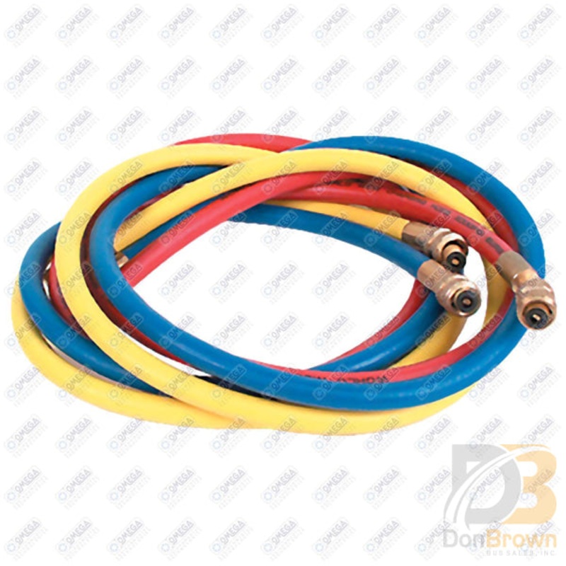 R12 HOSE SET W/ AUTOMATIC ANTI BLOWBACK 96IN MT1295